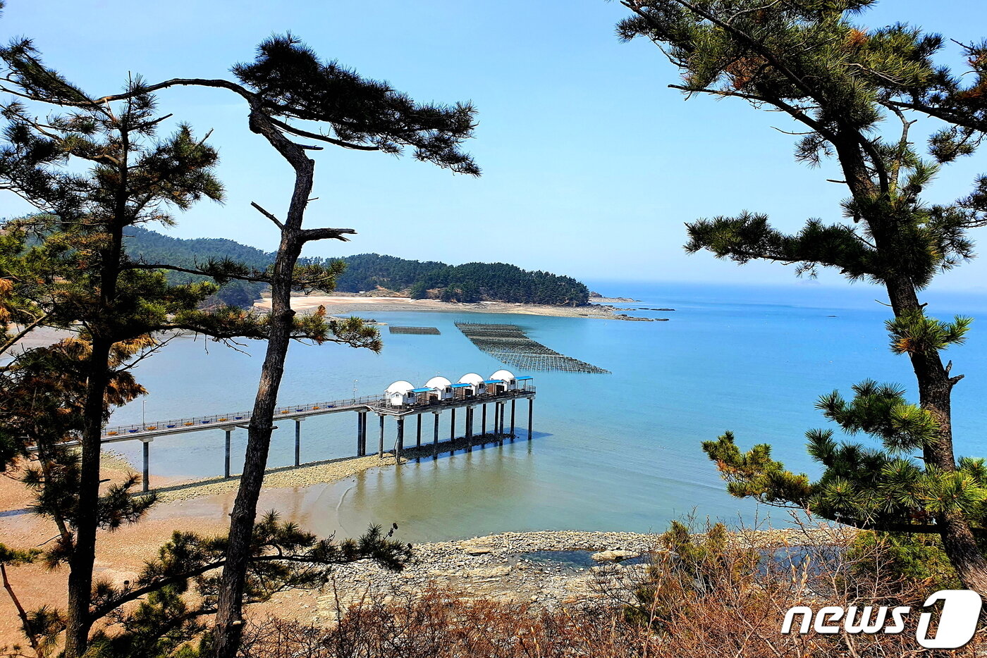 본문 이미지 - 신너루 해변의 풍경. 낚시를 하기 위한 다리를 설치하고, 그 위에 이글루같은 방갈로를 설치했다 ⓒ 뉴스1