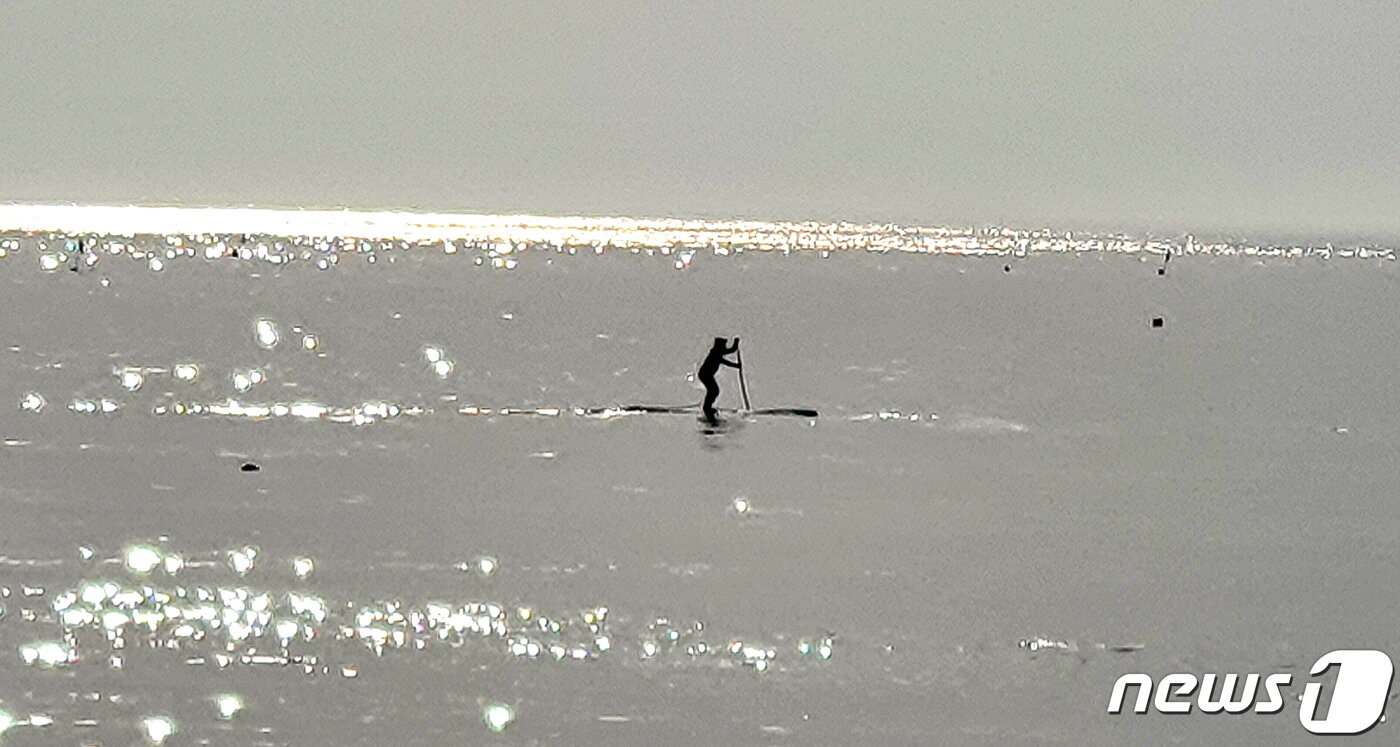 본문 이미지 - 해 지는 만리포 바다의 풍경. 호수처럼 잔잔한 은빛 바다에서 서핑 보드를 젓고 있는 사람 ⓒ 뉴스1
