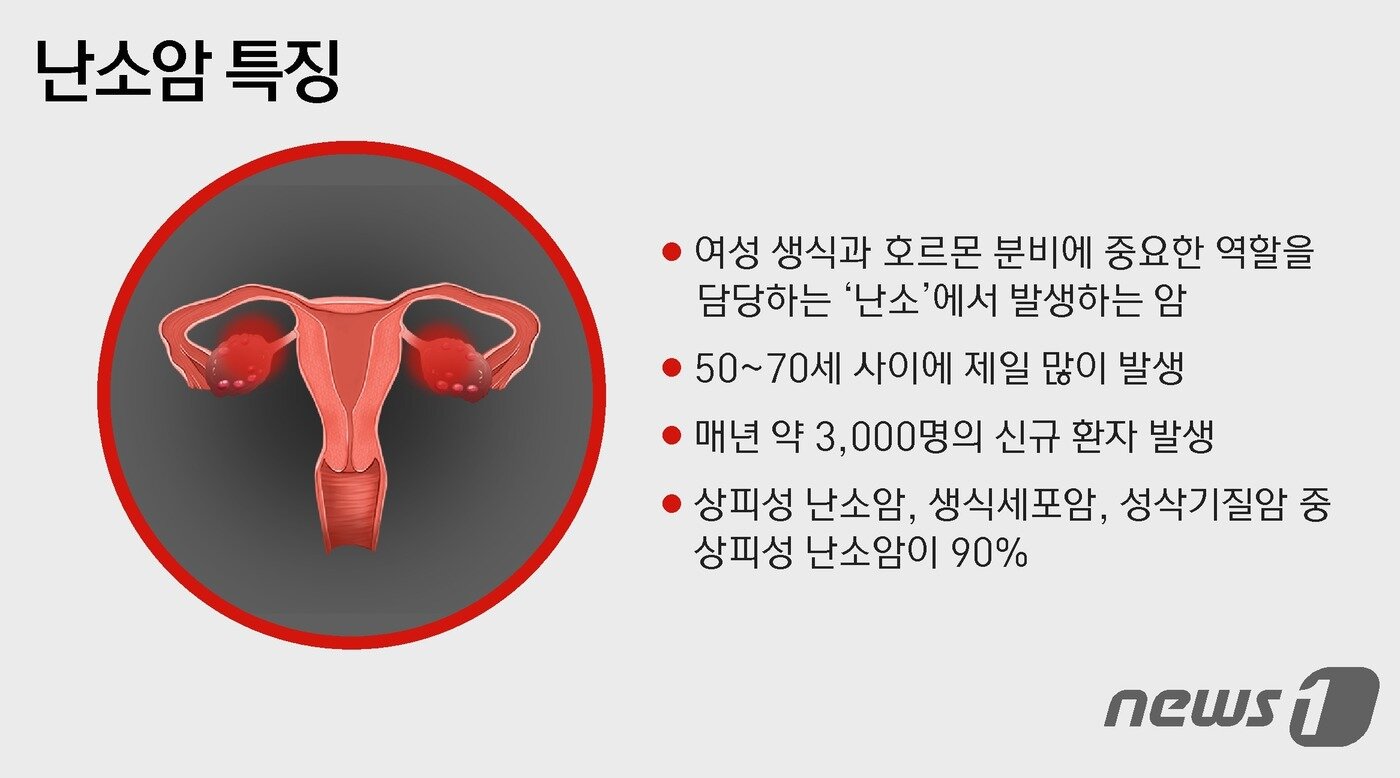 본문 이미지 - ⓒ News1 윤주희 디자이너