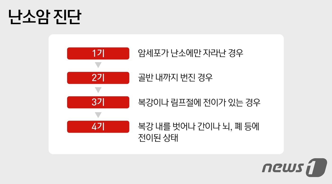 본문 이미지 - ⓒ News1 윤주희 디자이너