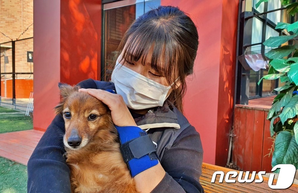 가족의 발견(犬)]사람만 보면 물던 강아지…