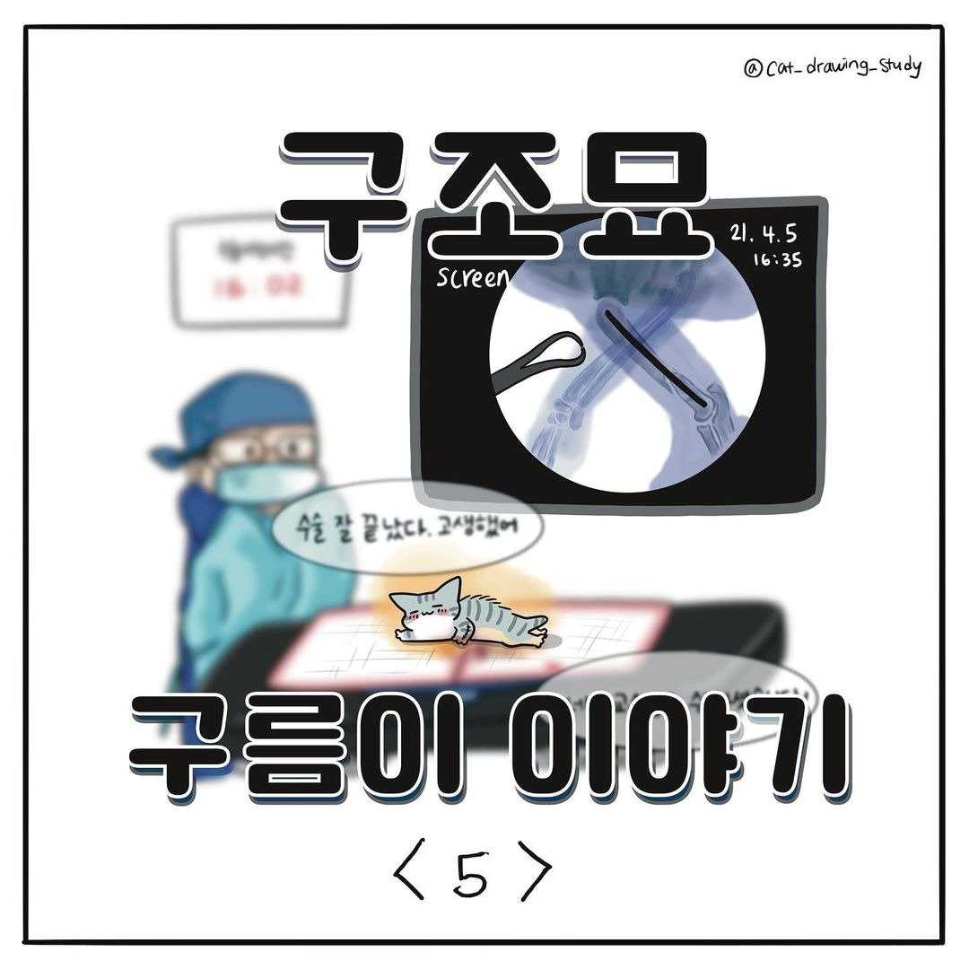 본문 이미지 - 해피펫툰 ⓒ 뉴스1