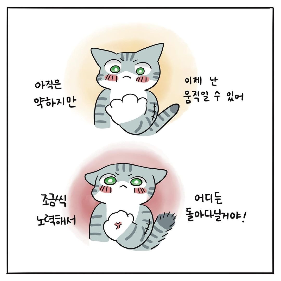 해피펫툰 ⓒ 뉴스1