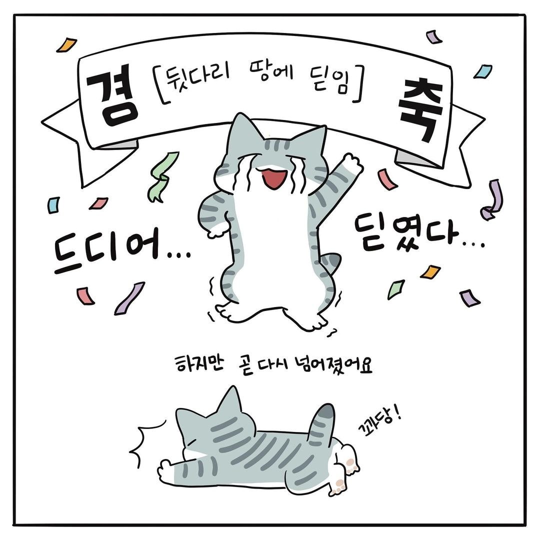 본문 이미지 - 해피펫툰 ⓒ 뉴스1