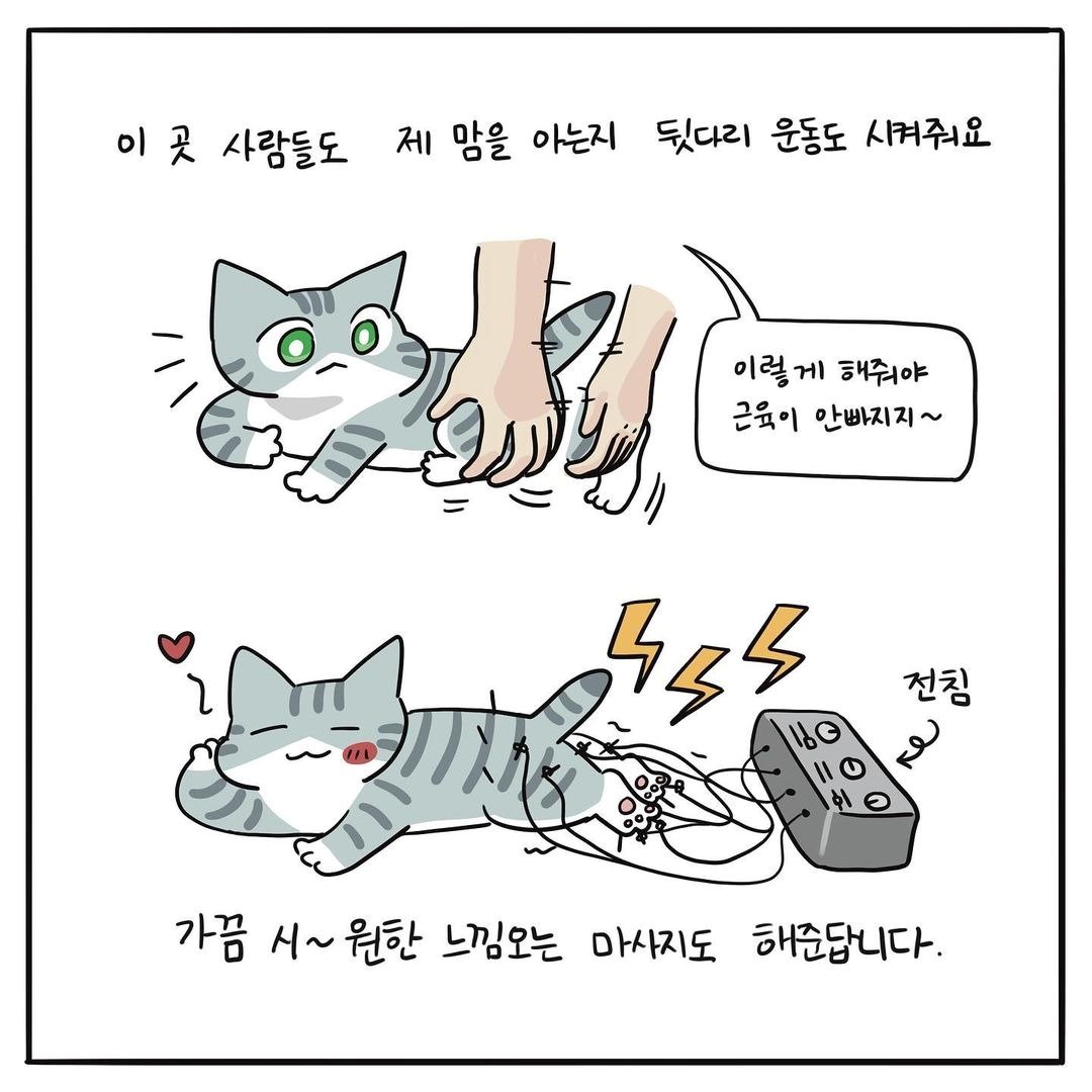 본문 이미지 - 해피펫툰 ⓒ 뉴스1