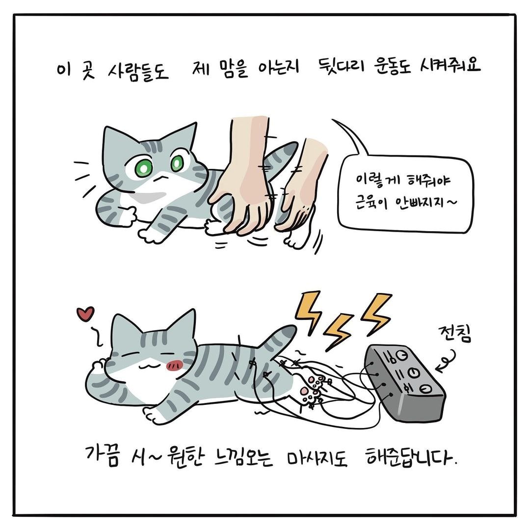 해피펫툰 ⓒ 뉴스1