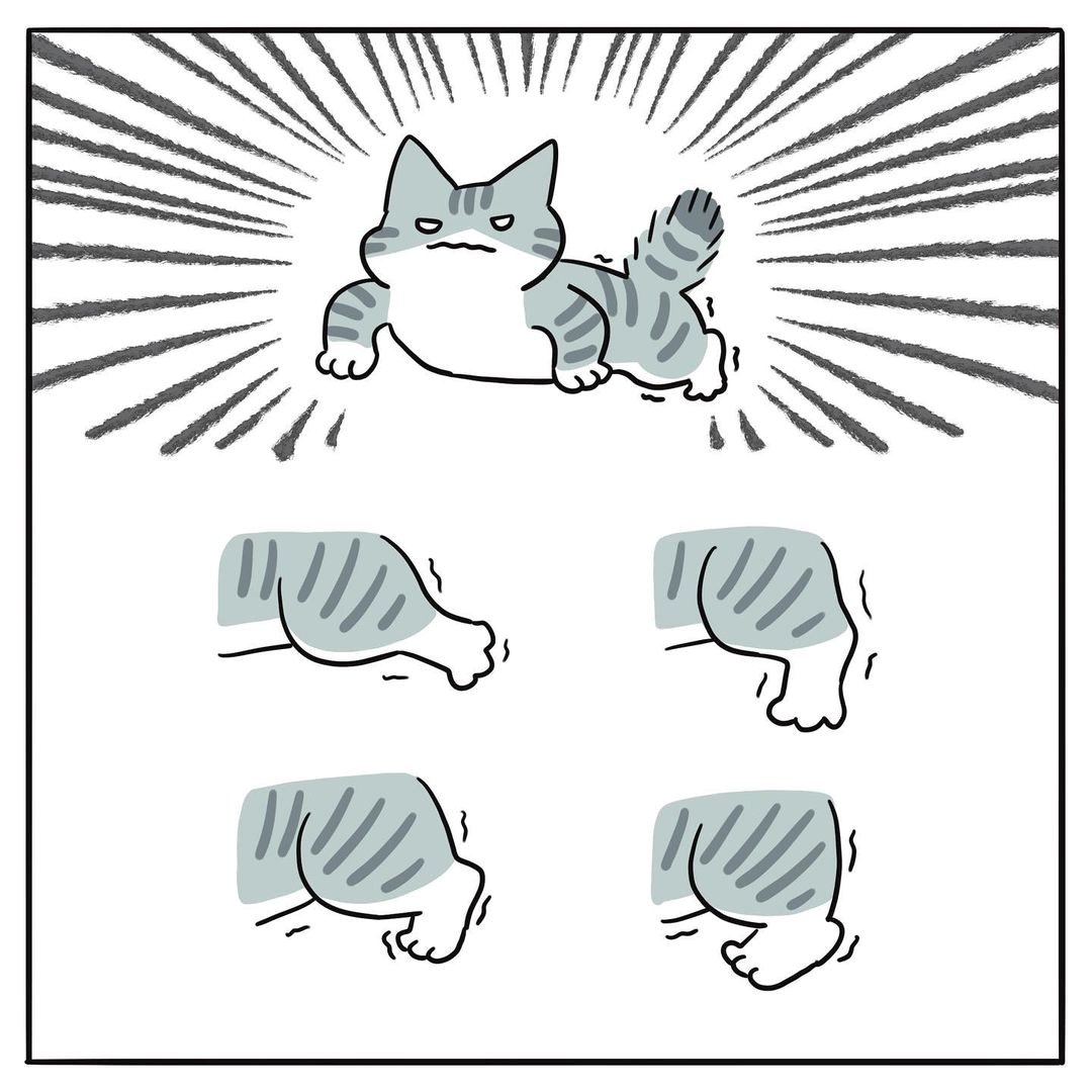 본문 이미지 - 해피펫툰 ⓒ 뉴스1