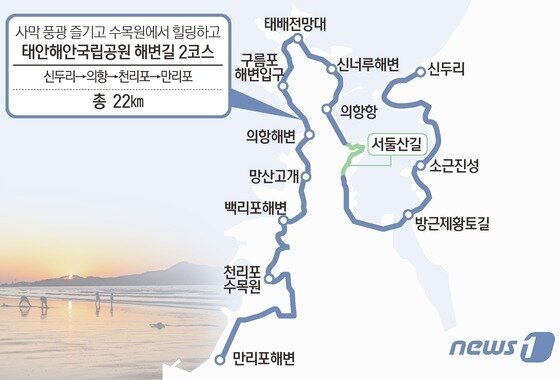 본문 이미지 - ⓒ 뉴스1 김초희 디자이너