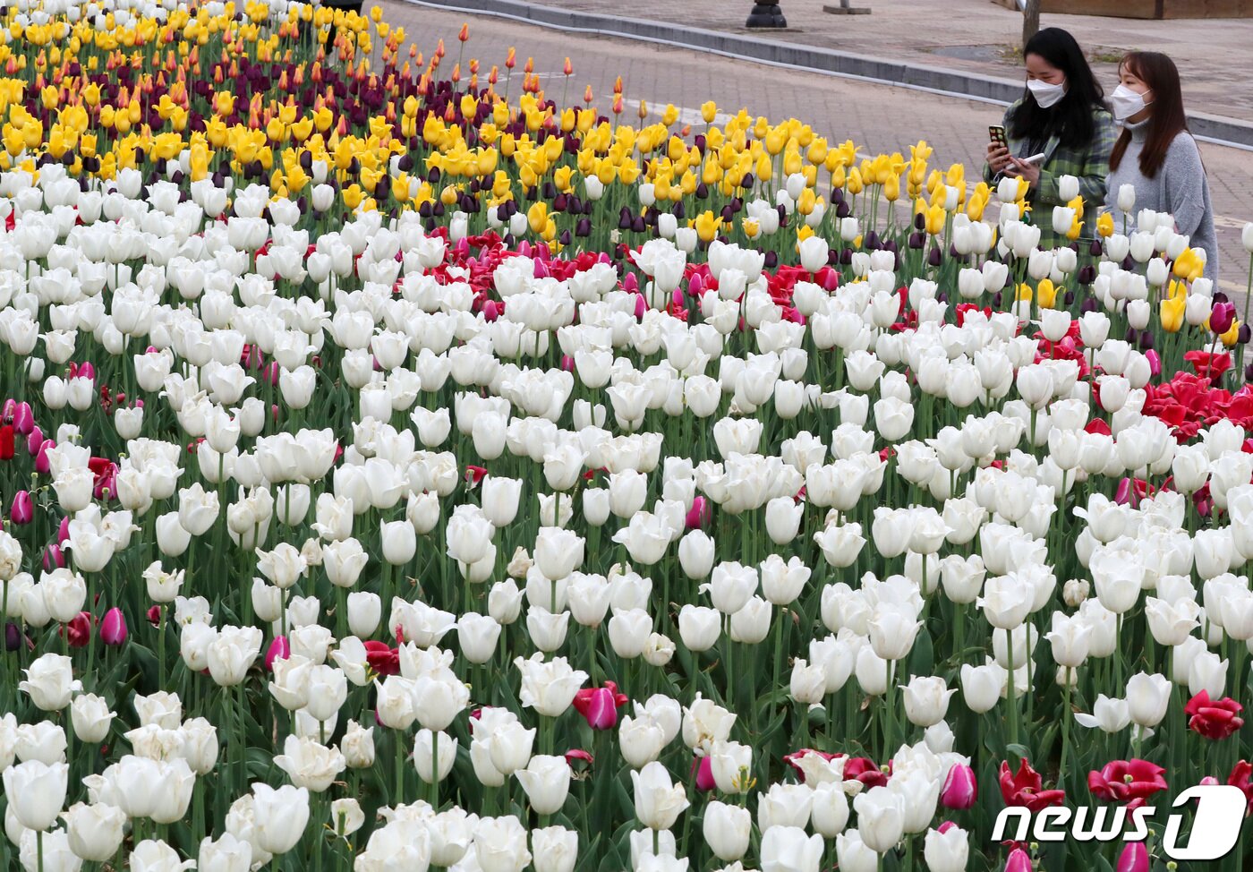 본문 이미지 - 22일 오후 경기도 고양시 일산호수공원에서 열린 2022 고양국제꽃박람회 화훼산업대전을 찾은 시민들이 사진을 찍으며 즐거운 시간을 보내고 있다. 코로나19 영향으로 3년 만에 열린 이번 꽃박람회는 26일까지 계속된다. 2022.4.22/뉴스1 ⓒ News1 박세연 기자