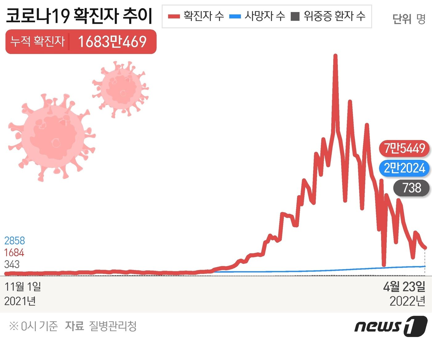 본문 이미지 - ⓒ News1 최수아 디자이너