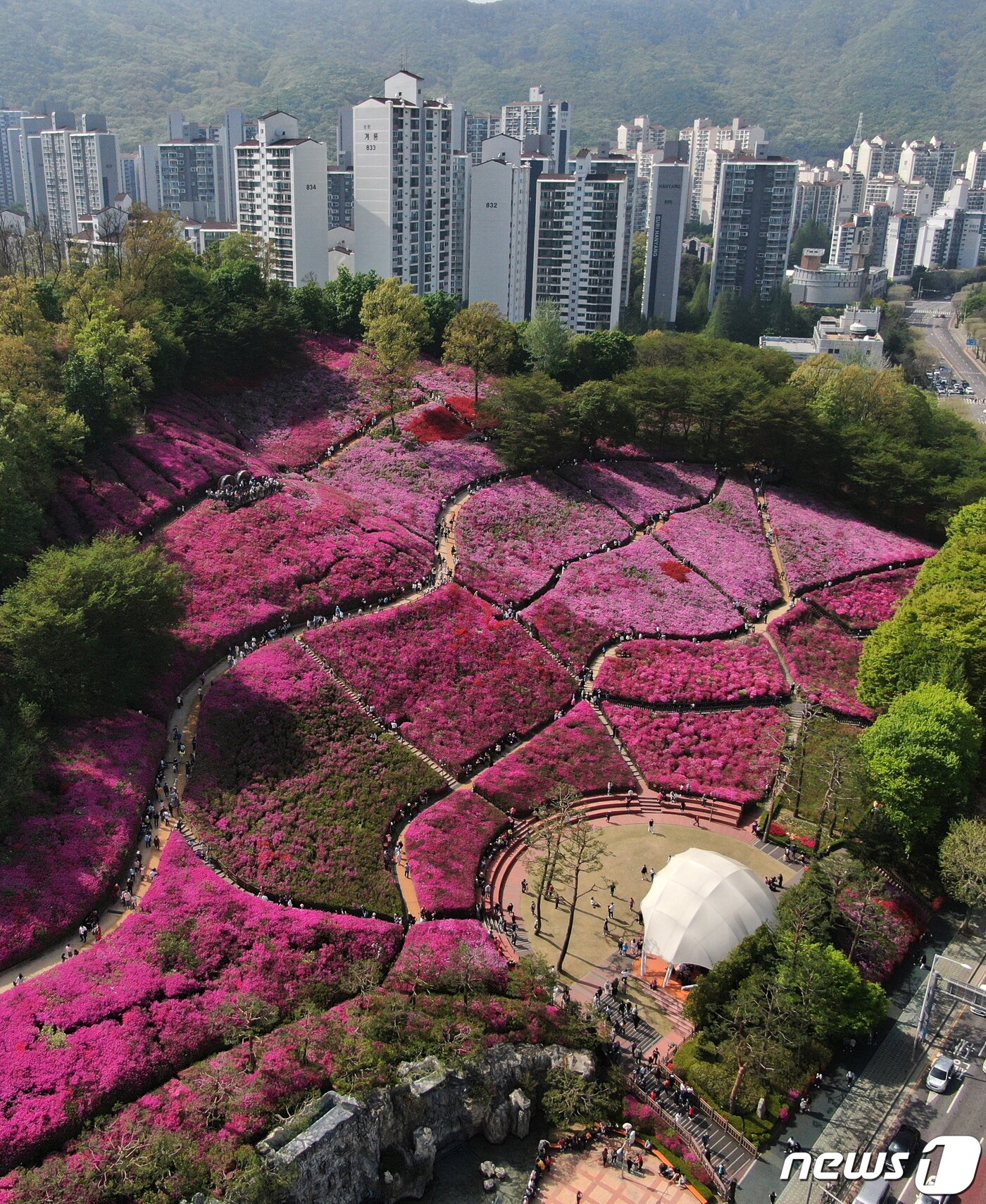 본문 이미지 - 24일 오후 경기 군포시 철쭉동산을 찾은 시민들이 꽃놀이를 즐기고 있다. 2022.4.24/뉴스1 ⓒ News1 구윤성 기자