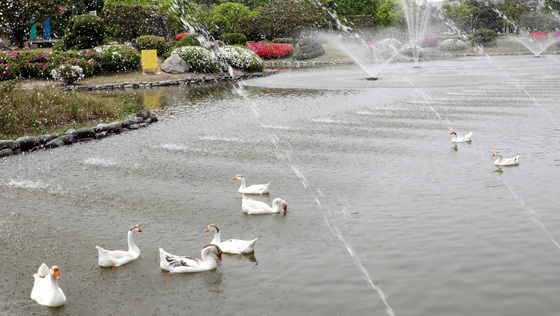 [오늘의 날씨] 대전·충남(16일, 목)…공주·천안 낮 최고 27도