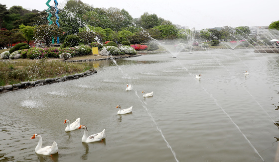 [오늘의 날씨] 대전·충남(15일, 수)…낮 기온 25도 '더위'