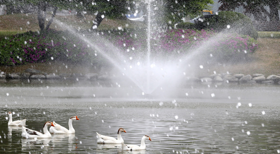 [오늘의 날씨] 대전·충남(14일, 화)…낮 기온 23~26도 더워