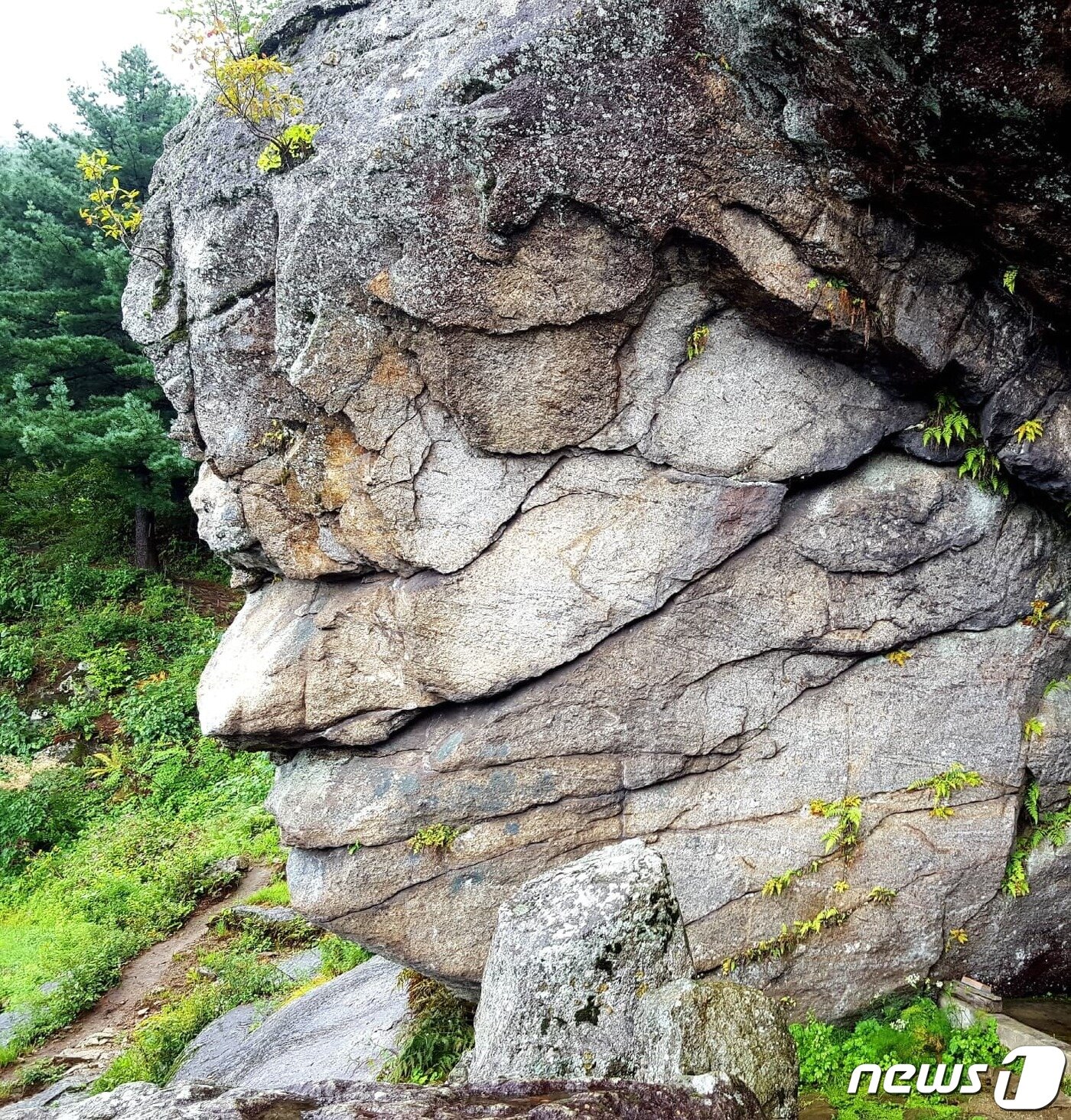 본문 이미지 - 문수암 얼굴바위 ⓒ 뉴스1