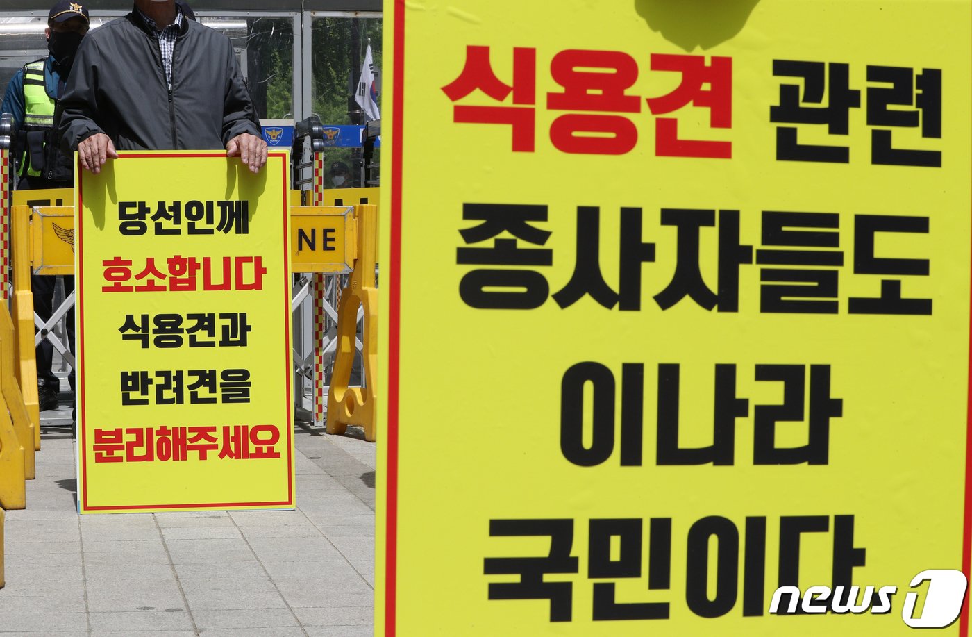 본문 이미지 - 대한육견연합회 소속 회원들이 지난 2022년 4월28일 오전 서울 종로구 대통령직 인수위원회 앞에서 기자회견을 갖고 식용개 관련업 종사자 생존권 보장을 촉구하고 있다. 2022.4.28/뉴스1 ⓒ News1 신웅수 기자