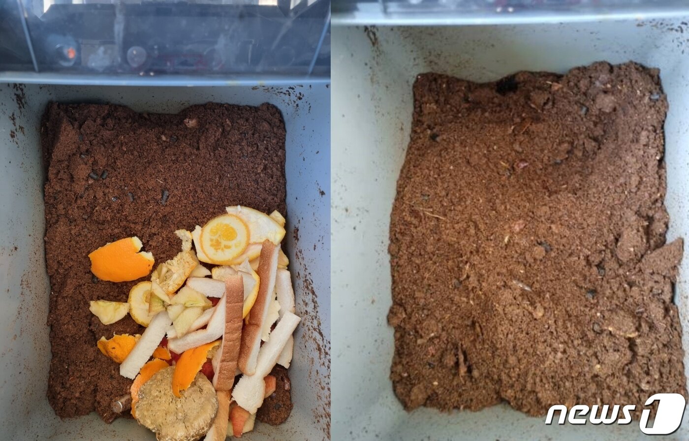 본문 이미지 - 쿠쿠 음식물쓰레기 처리기 투입 전(왼쪽), 투입 후 8시간 지난 모습(오른쪽) ⓒ 뉴스1 조현기 기자