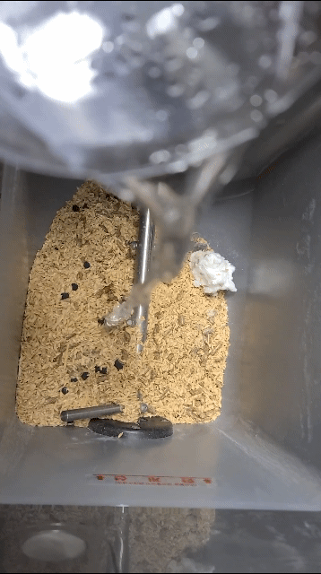 본문 이미지 - 쿠쿠 미생물 음식물쓰레기 처리기 미생물 만드는 모습 ⓒ 뉴스1 조현기 기자