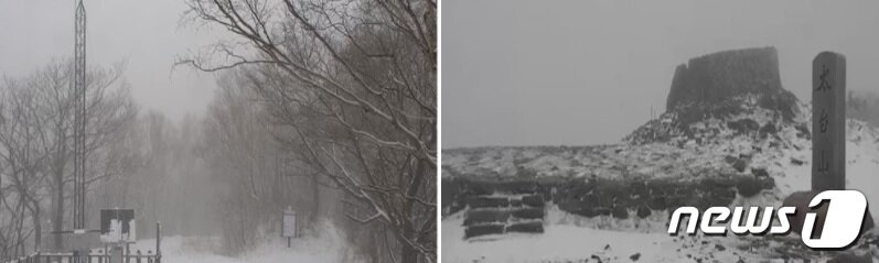 본문 이미지 - 29일 새벽부터 오전 사이 강원 산간 주요지점 적설량이 최대 10cm 이상을 기록한 가운데 이날 오전 국립공원공단이 촬영한 강원 오대산 두로령(사진 왼쪽)과 태백산 천제단 주변에 설경이 펼쳐져 있다. (국립공원공단·기상청 제공) 2022.4.29/뉴스1 신관호 기자