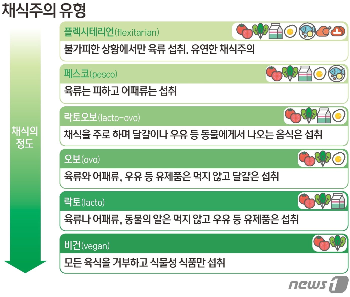 본문 이미지 - ⓒ News1 김초희 디자이너