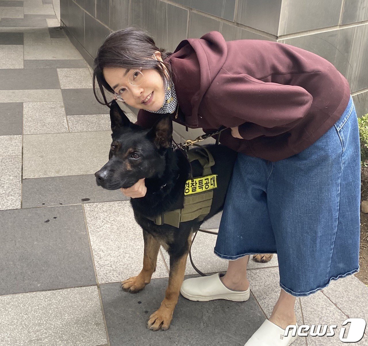 본문 이미지 - ⓒ 뉴스1