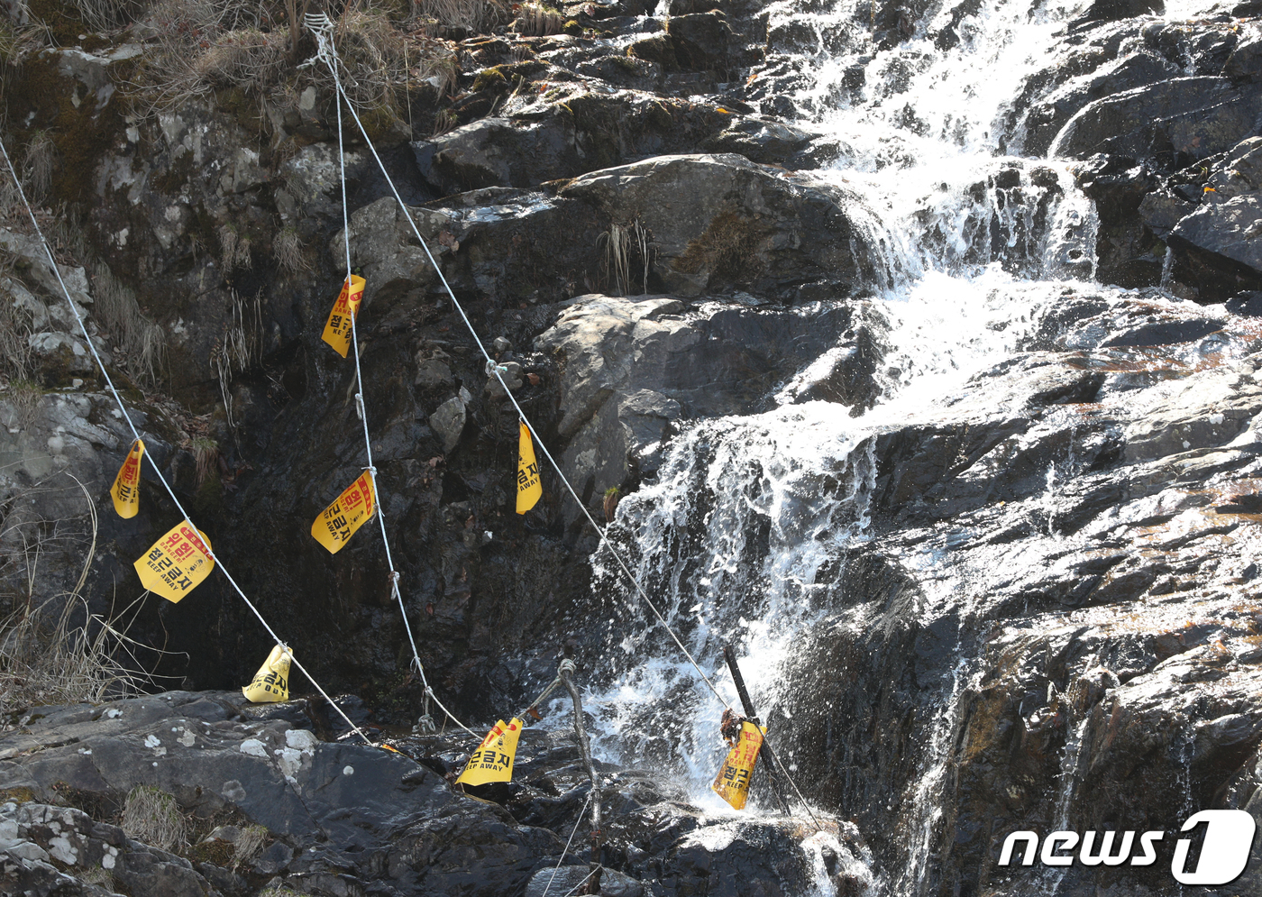 (가평=뉴스1) 신웅수 기자 = 검찰이 보험금을 노리고 남편을 살해한 피의자 이은해(31)와 조현수(30)에 대해 수배 전 출국금지 조치를 내렸으나 4개월째 행방이 묘연한 상태다. …