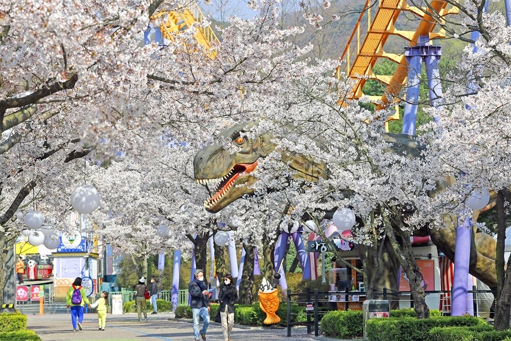 본문 이미지 - 공룡 벚꽃 이색 인증샷. 서울랜드 제공