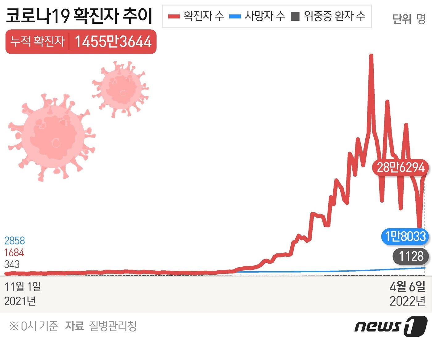 본문 이미지 - ⓒ News1 김초희 디자이너