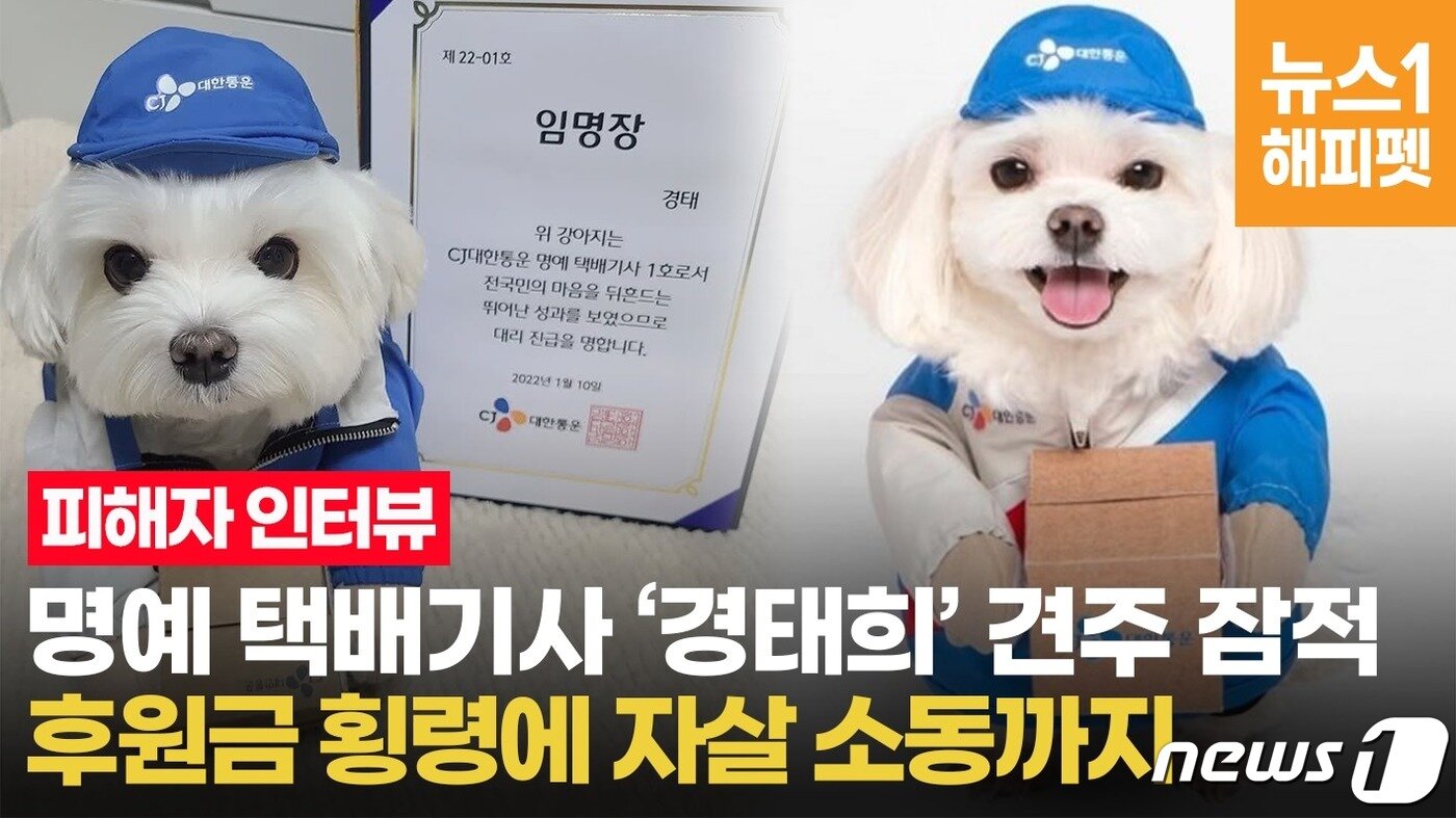본문 이미지 - ⓒ News1 엄예진 인턴기자