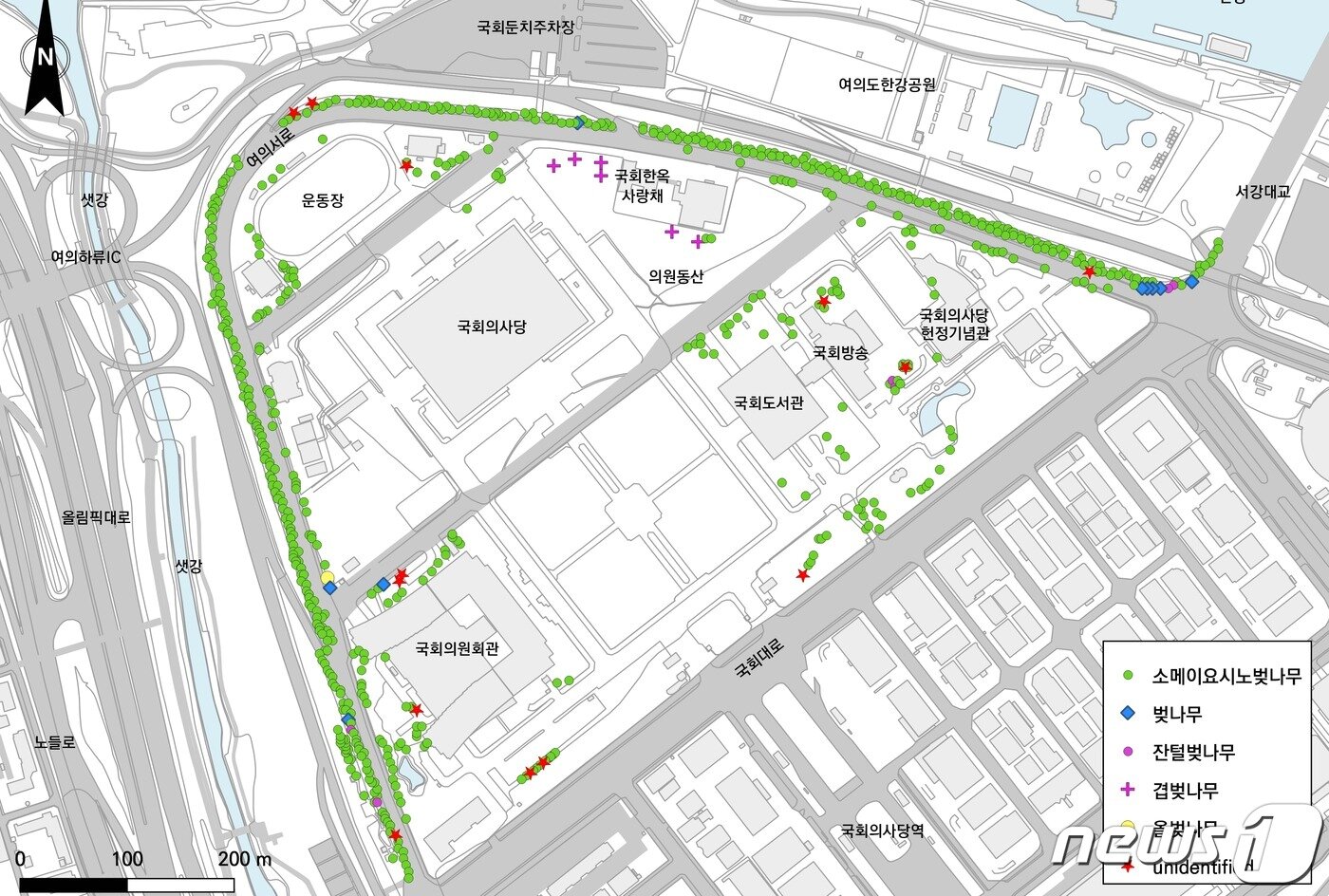 본문 이미지 - 국회와 여의서로의 벚나무 식재 현황도.(왕벚프로젝트 2050 제공) ⓒ 뉴스1