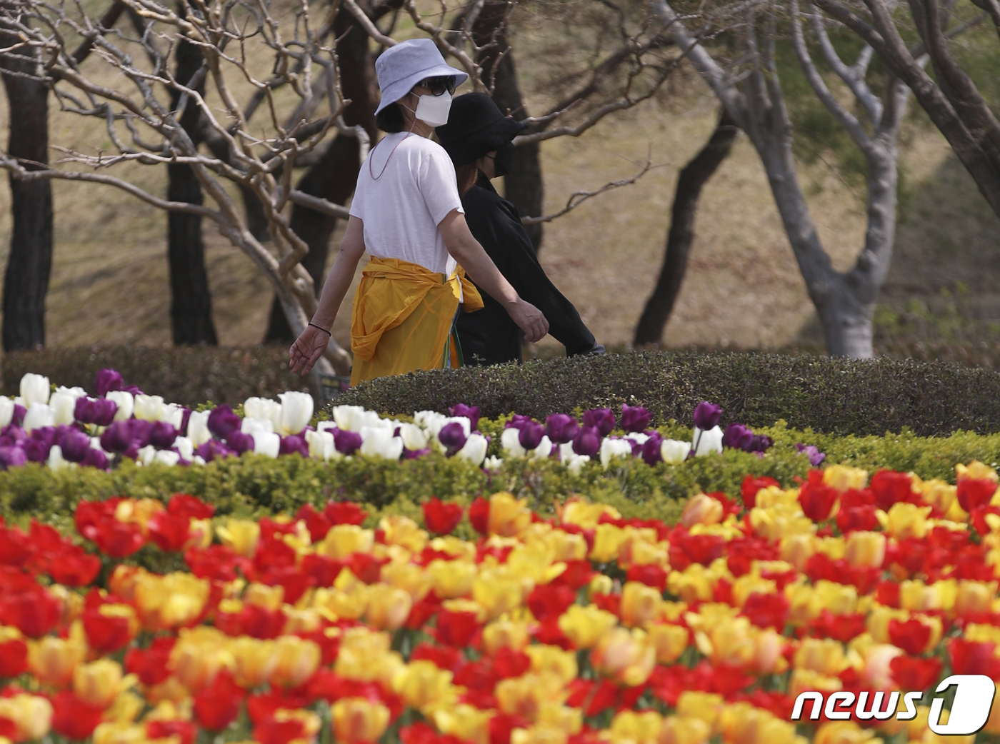 (울산=뉴스1) 윤일지 기자 = 포근한 봄 날씨를 보인 6일 울산 남구 울산대공원 남문 광장에 활짝 핀 튤립 뒤로 반팔 차림을 한 시민이 지나가고 있다. 2022.4.6/뉴스1