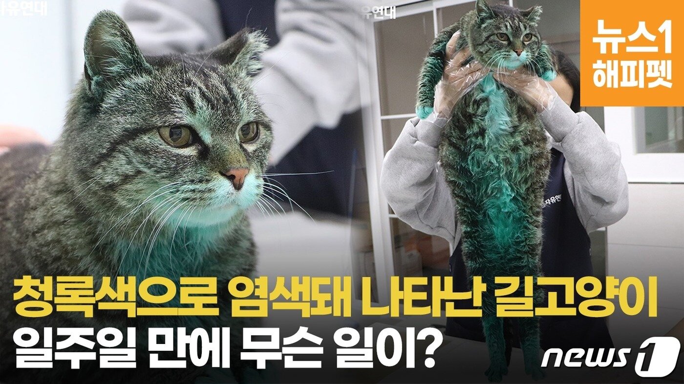 본문 이미지 - ⓒ News1 엄예진 인턴기자