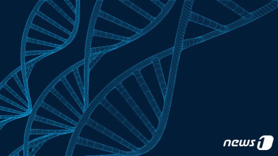 본문 이미지 - B형간염 바이러스 보유자라는 이유만으로 모두 치료해야 하는 것은 아니다. 이미 감염됐다면 바이러스 DNA 수치, 간 기능&#40;ALT·AST&#41;, 간 섬유화 정도나 간경변 유무에 따라 항바이러스제를 투여해 치료한다. ⓒ News1 윤주희 디자이너