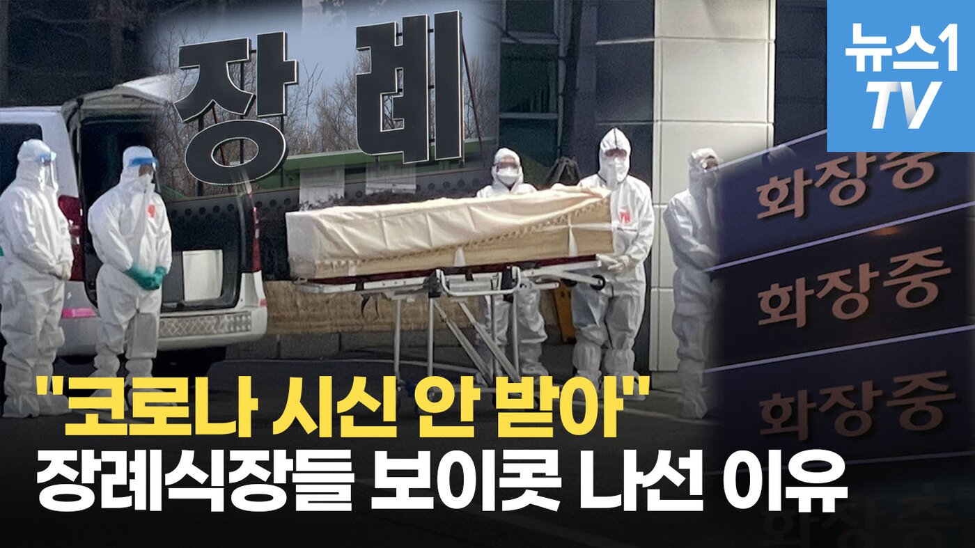 본문 이미지 - ⓒ 뉴스1