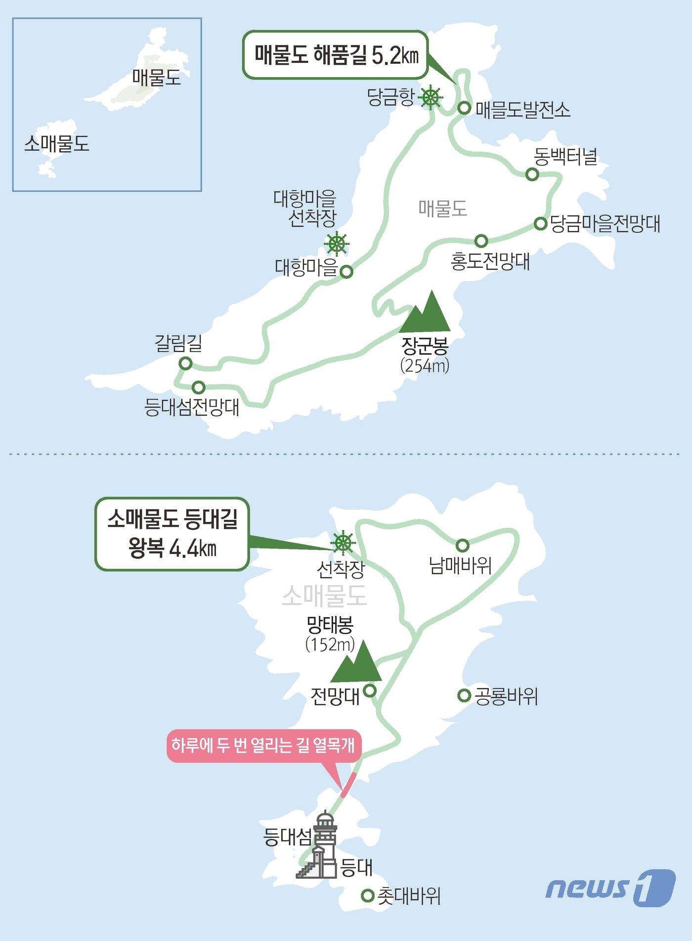 본문 이미지 - ⓒ News1 김초희 디자이너