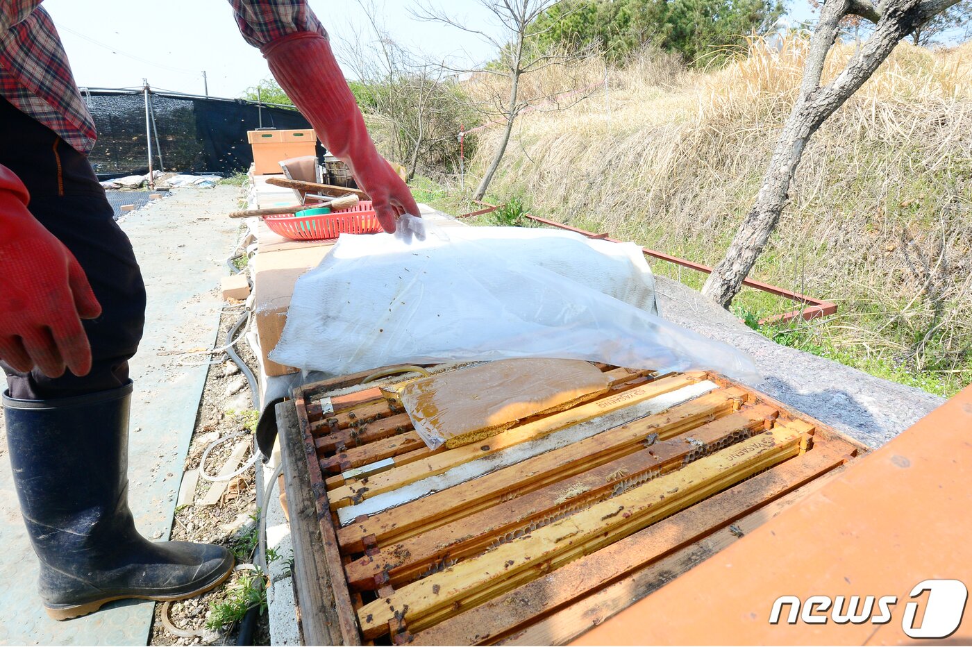 본문 이미지 - 자료사진/뉴스1 ⓒ News1 정다움 기자