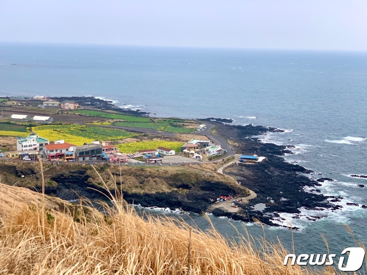 본문 이미지 - 우대 등대공원에서 내려다바라본 우도의 봄 풍경ⓒ 뉴스1 