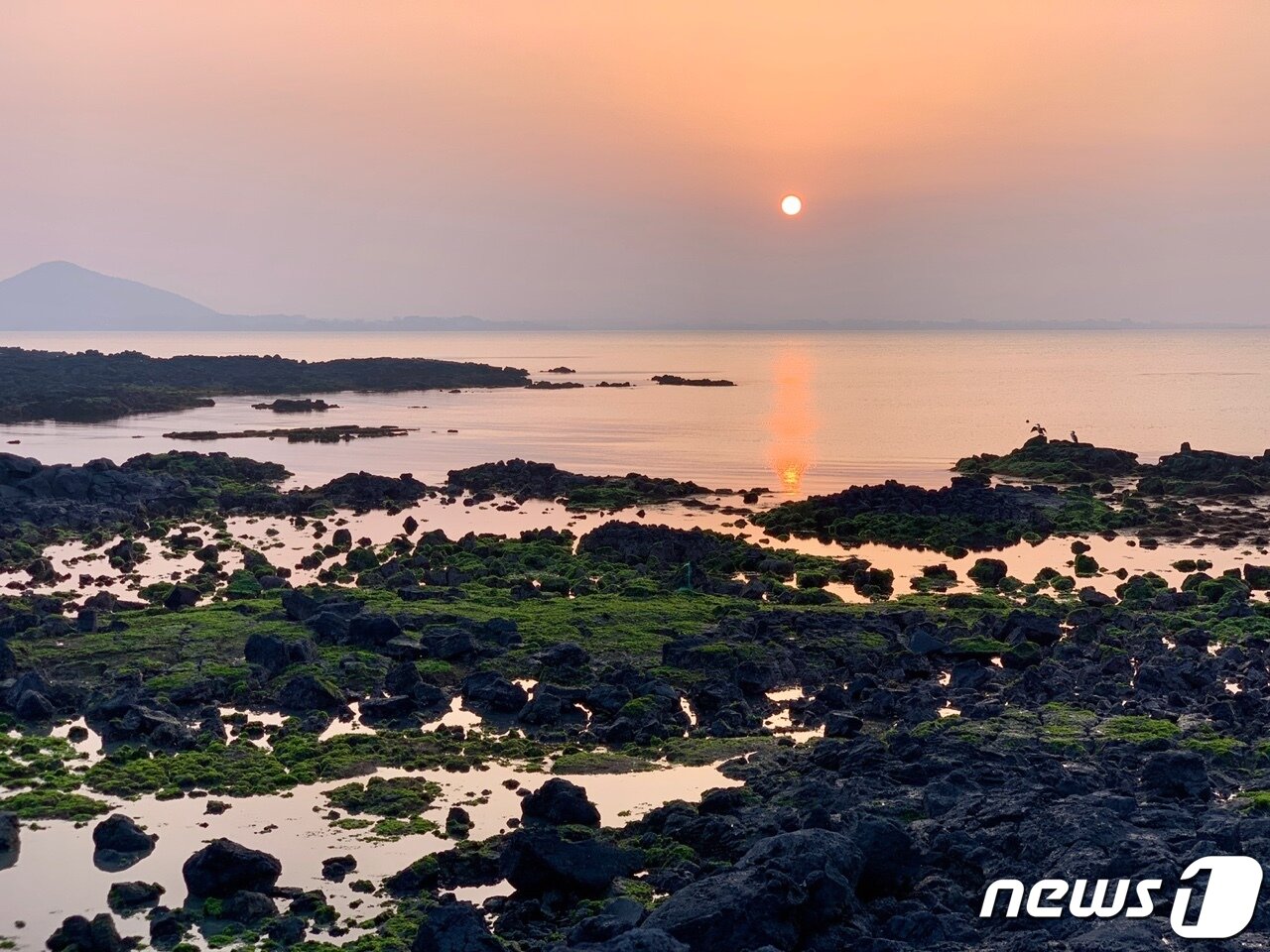 본문 이미지 - 바다와 하늘을 분홍빛으로 물들인 우도 일몰ⓒ 뉴스1