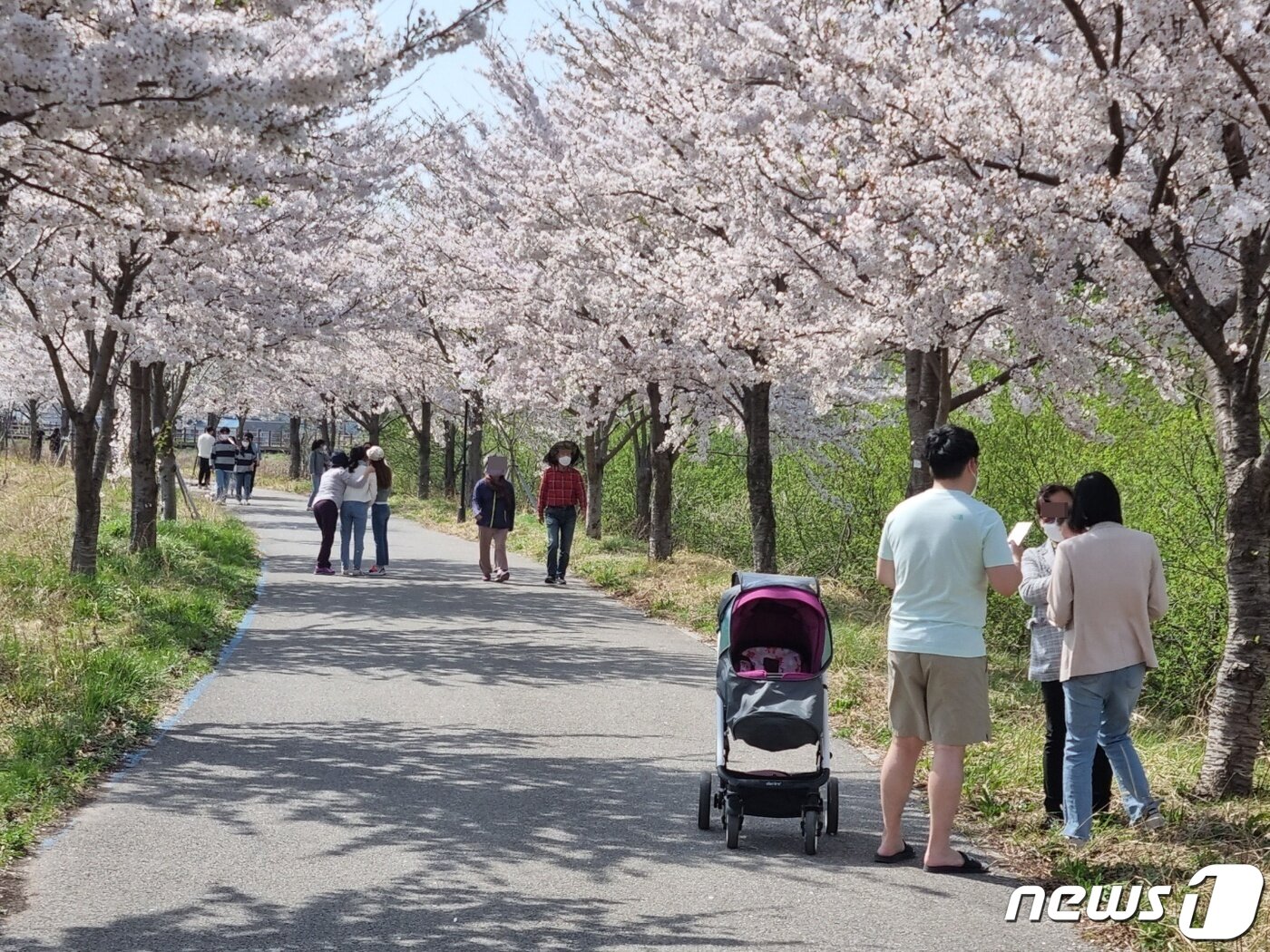 본문 이미지 - 지난 9일 벚꽃이 만개한 강릉 경포 생태저류지를 찾은 상춘객들이 벚꽃을 배경삼아 사진 촬영에 한창이다. 이날 강릉지역은 28도까지 오르는 등 따뜻한 날씨를 보이면서 반팔 등 가벼운 차림의 나들이객이 많았다. 2022.4.9/뉴스1 윤왕근 기자