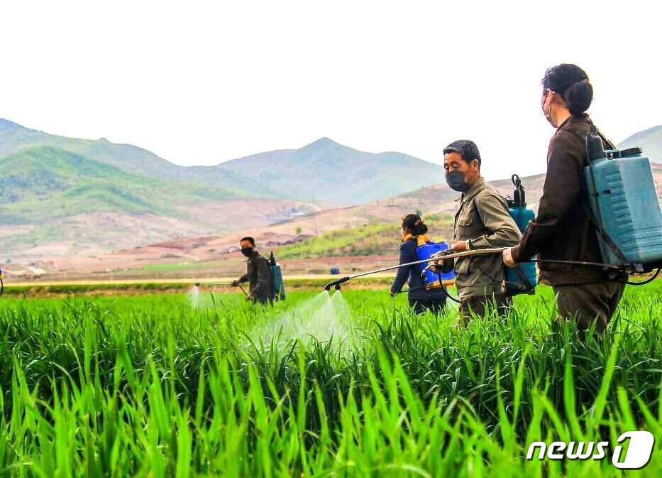 본문 이미지 - (평양 노동신문=뉴스1) = 북한이 가뭄 피해를 막기 위해 총력을 기울이고 있다. [국내에서만 사용가능. 재배포 금지. DB 금지. For Use Only in the Republic of Korea. Redistribution Prohibited] rodongphoto@news1.kr
