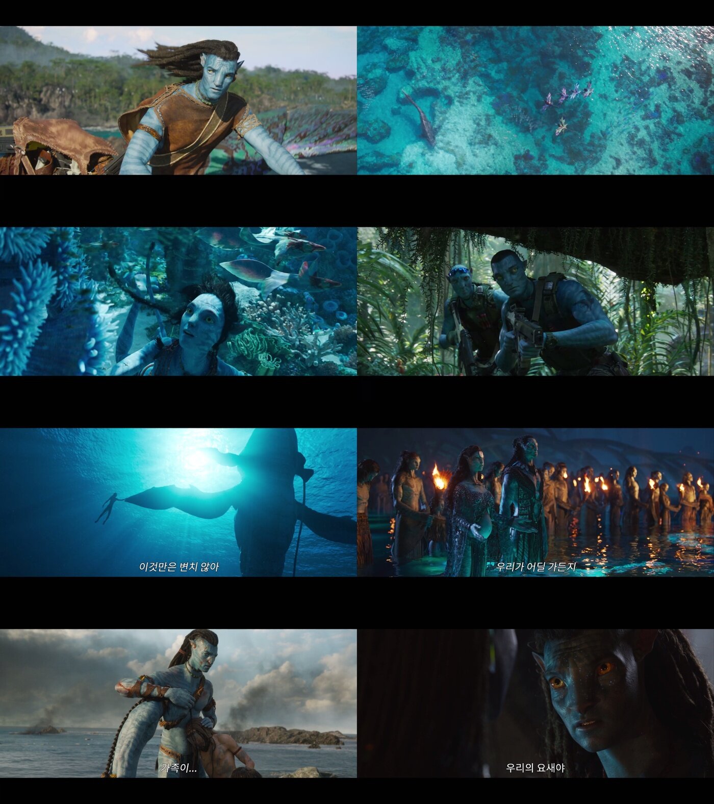 본문 이미지 - '아바타: 물의 길' ⓒ 뉴스1