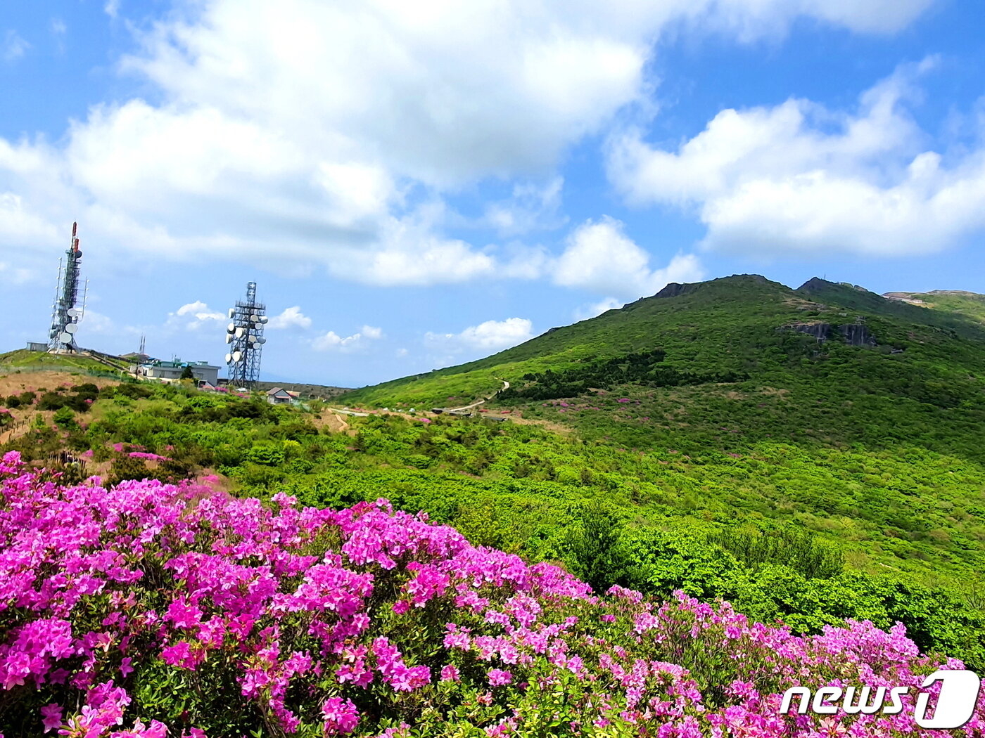 본문 이미지 - 장불재 전경. 아름다운 초지에 왼쪽의 인공시설-방송철탑이 안타깝다 ⓒ 뉴스1