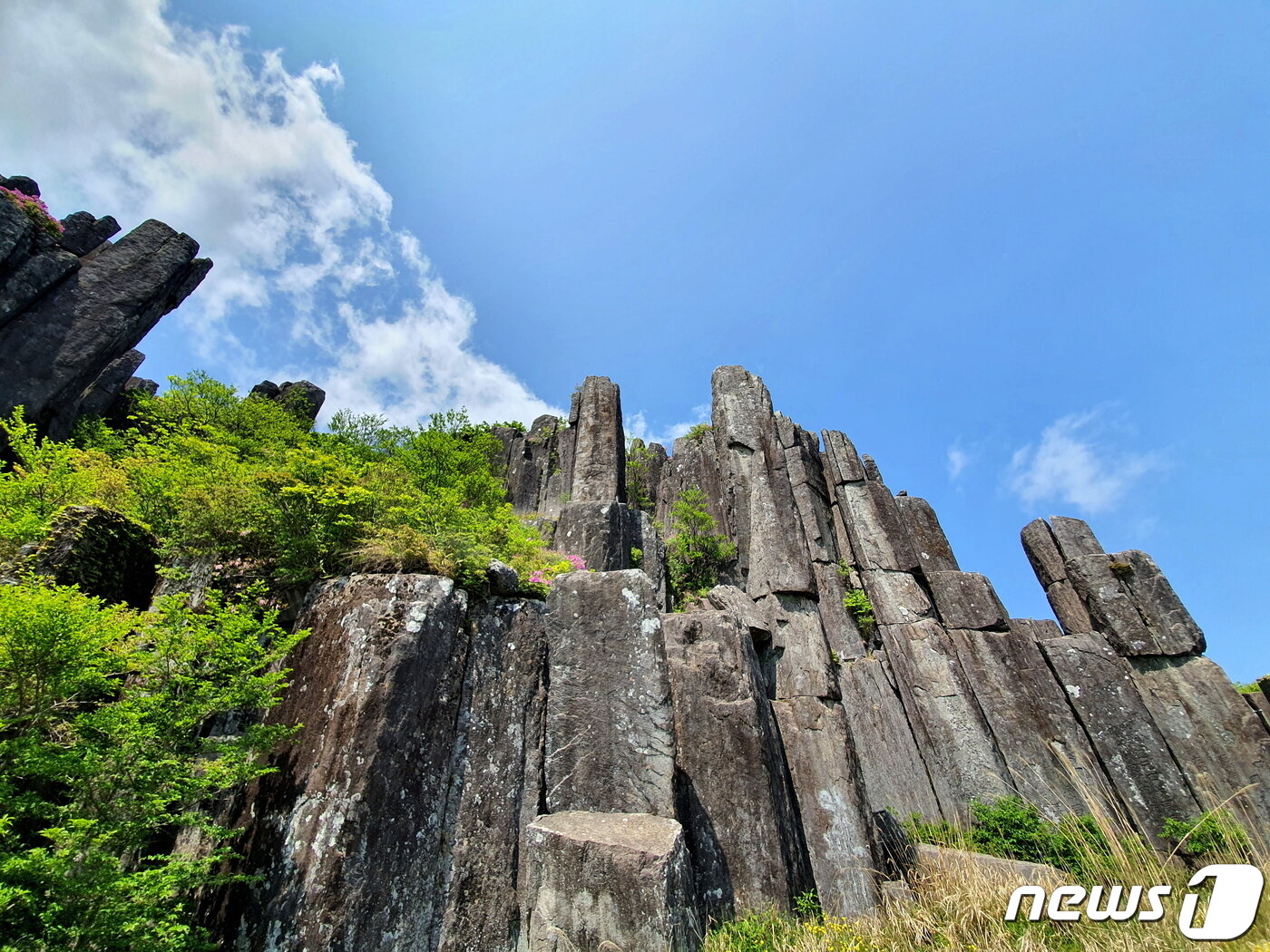 본문 이미지 - 입석대 주상절리. 솟구쳐 오른 돌기둥들에게 표정과 생각이 있는 듯하다 ⓒ 뉴스1