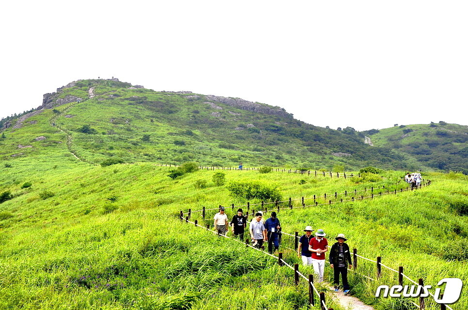 본문 이미지 - 중봉의 여름. 등산로 주변은 군부대를 철거하고 자연복원을 한 풀밭이다 ⓒ 뉴스1