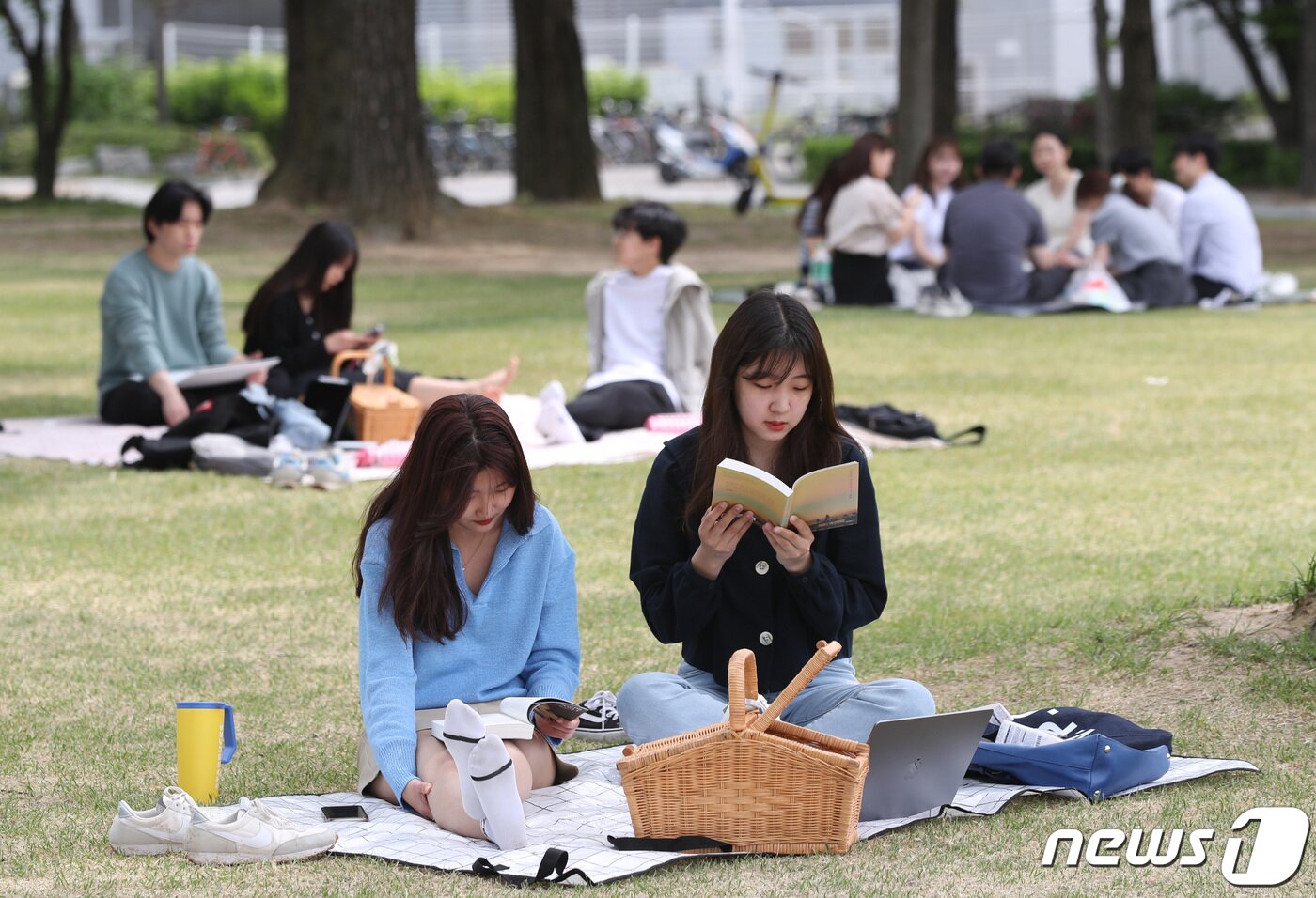 본문 이미지 - 경기 수원 장안구 성균관대학교 자연과학캠퍼스 삼성학술정보관 잔디광장에서 열린 북피크닉 행사에 참여한 학생들이 나무그늘 아래서 독서를 하고 있다. 2022.5.11/뉴스1 ⓒ News1 김영운 기자