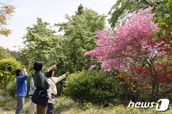 천리포수목원 겨울정원에 핀 철쭉을 관람하는 탐방객.© 뉴스1