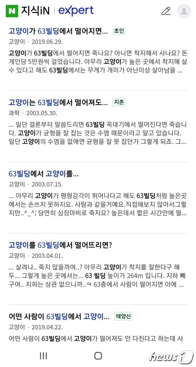 본문 이미지 - 주요 포털사이트에 올라온 고양이 관련 질문. 63빌딩에서 떨어져도 사느냐는 질문이 꽤 있다.(포털사이트 갈무리) ⓒ 뉴스1