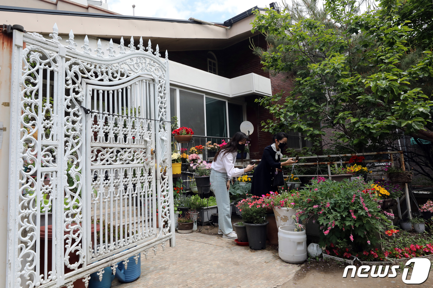 (서울=뉴스1) 황기선 기자 = 13일 오전 서울 성북구 정릉교수단지 주택에서 시민들이 정원을 둘러보고 있다.성북구는 이날부터 '2022 제11회 정원이 들려주는 소리'행사를 오는 …