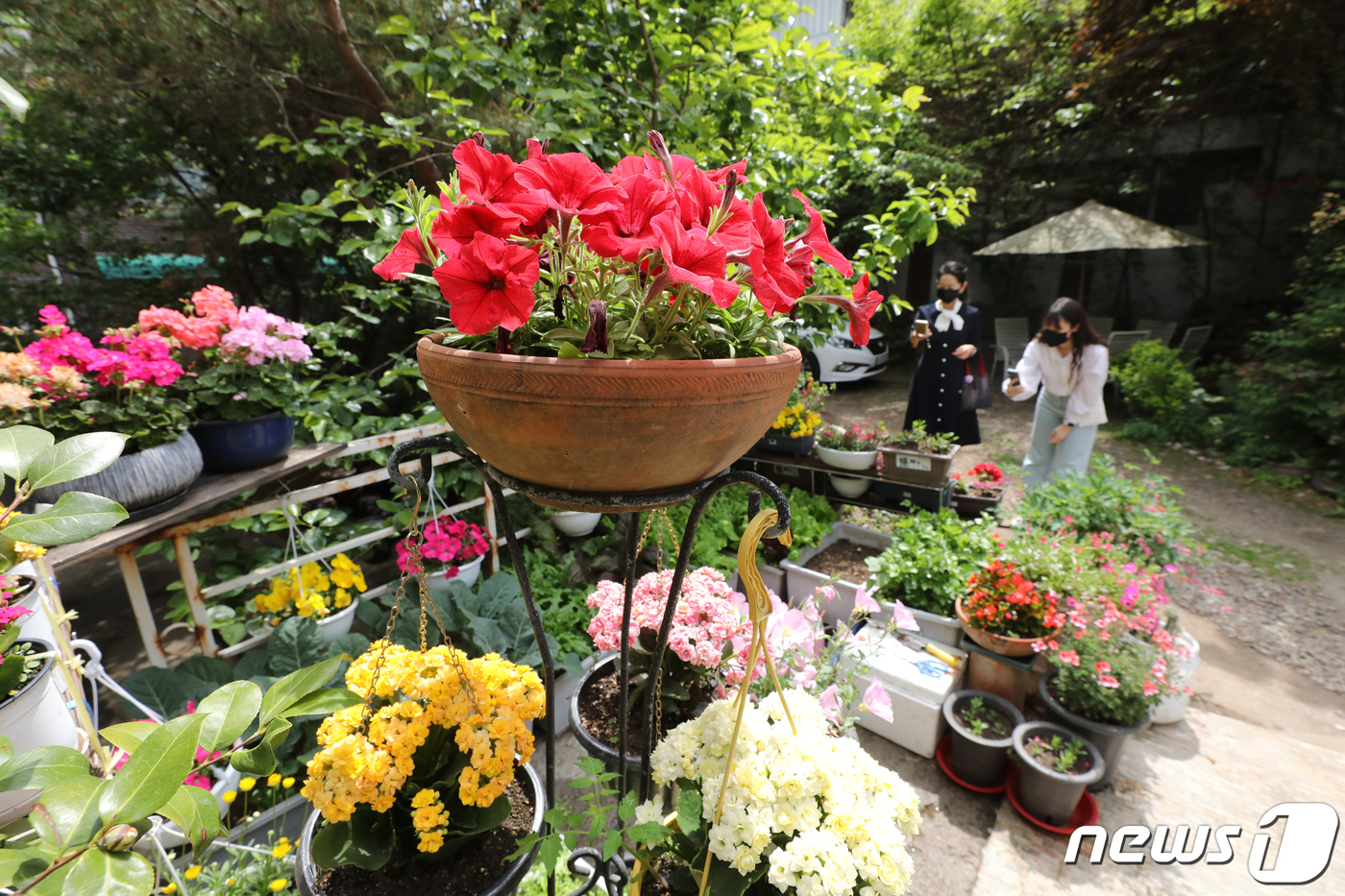 (서울=뉴스1) 황기선 기자 = 13일 오전 서울 성북구 정릉교수단지 주택에서 시민들이 정원을 둘러보고 있다.성북구는 이날부터 '2022 제11회 정원이 들려주는 소리'행사를 오는 …