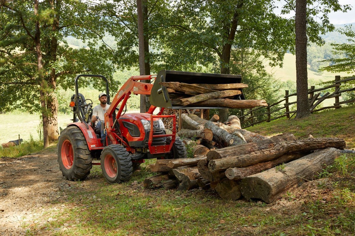 본문 이미지 - 대동 제공ⓒ 뉴스1